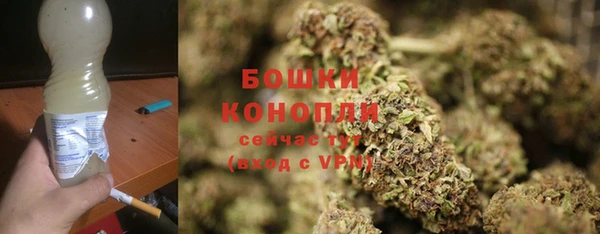 гашик Коряжма