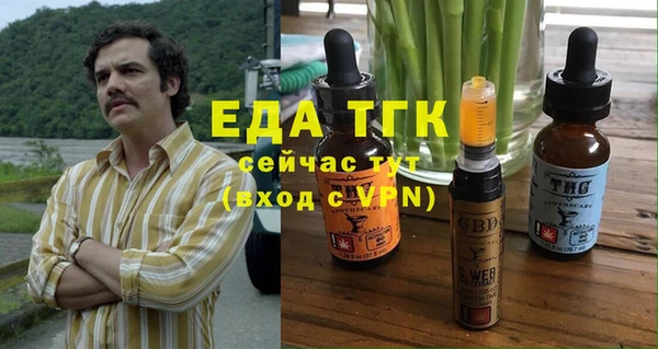 гашик Коряжма