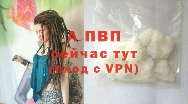 spice Козельск